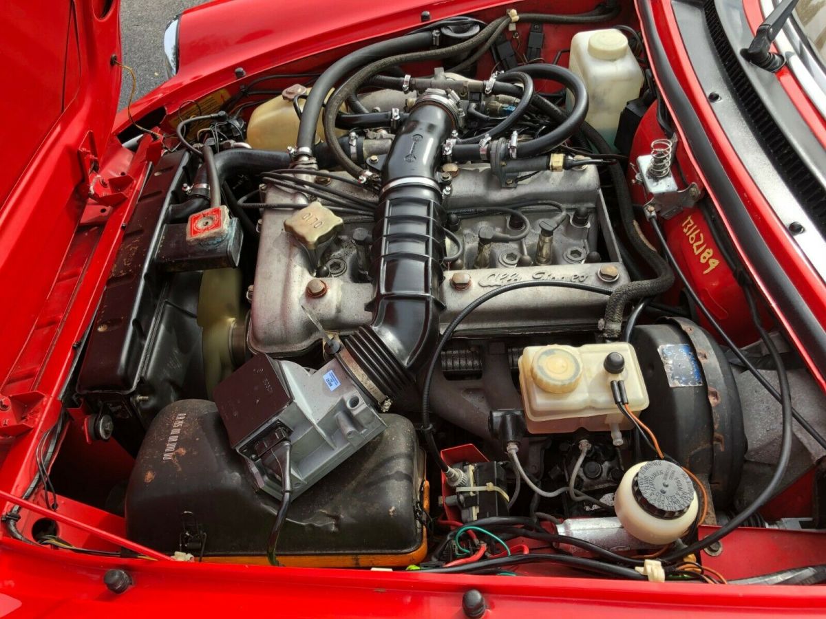 1984 Alfa Romeo Spider Veloce - photo 4