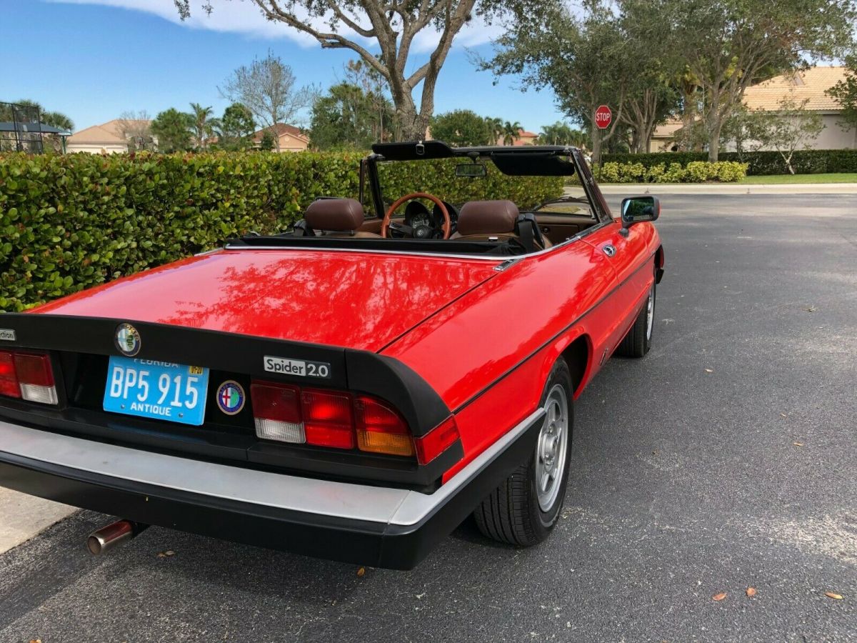 1984 Alfa Romeo Spider Veloce - photo 7