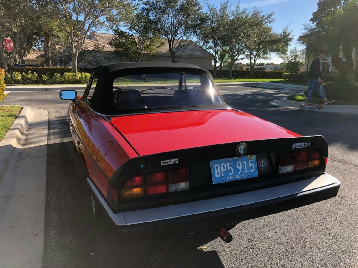 1984 Alfa Romeo Spider Veloce - photo 8