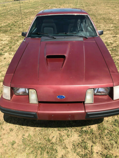 1984 Ford Mustang SVO - photo 2