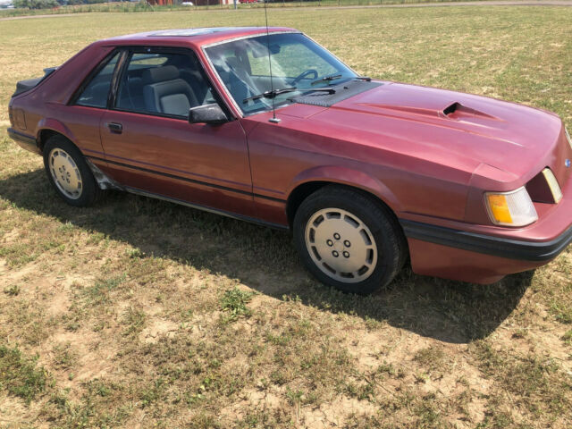 1984 Ford Mustang SVO - photo 3