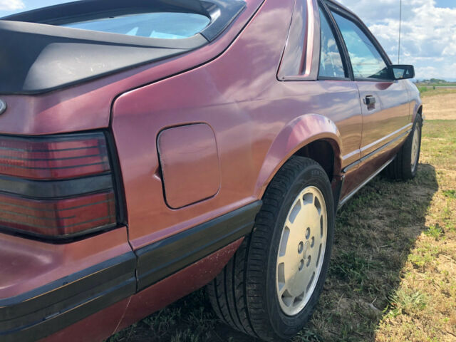 1984 Ford Mustang SVO - photo 5