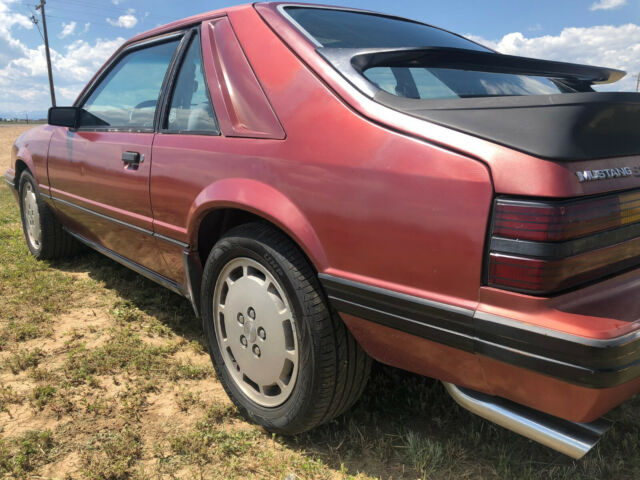 1984 Ford Mustang SVO - photo 7