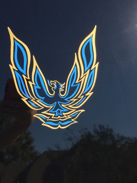 1979 Pontiac Trans Am - photo 13