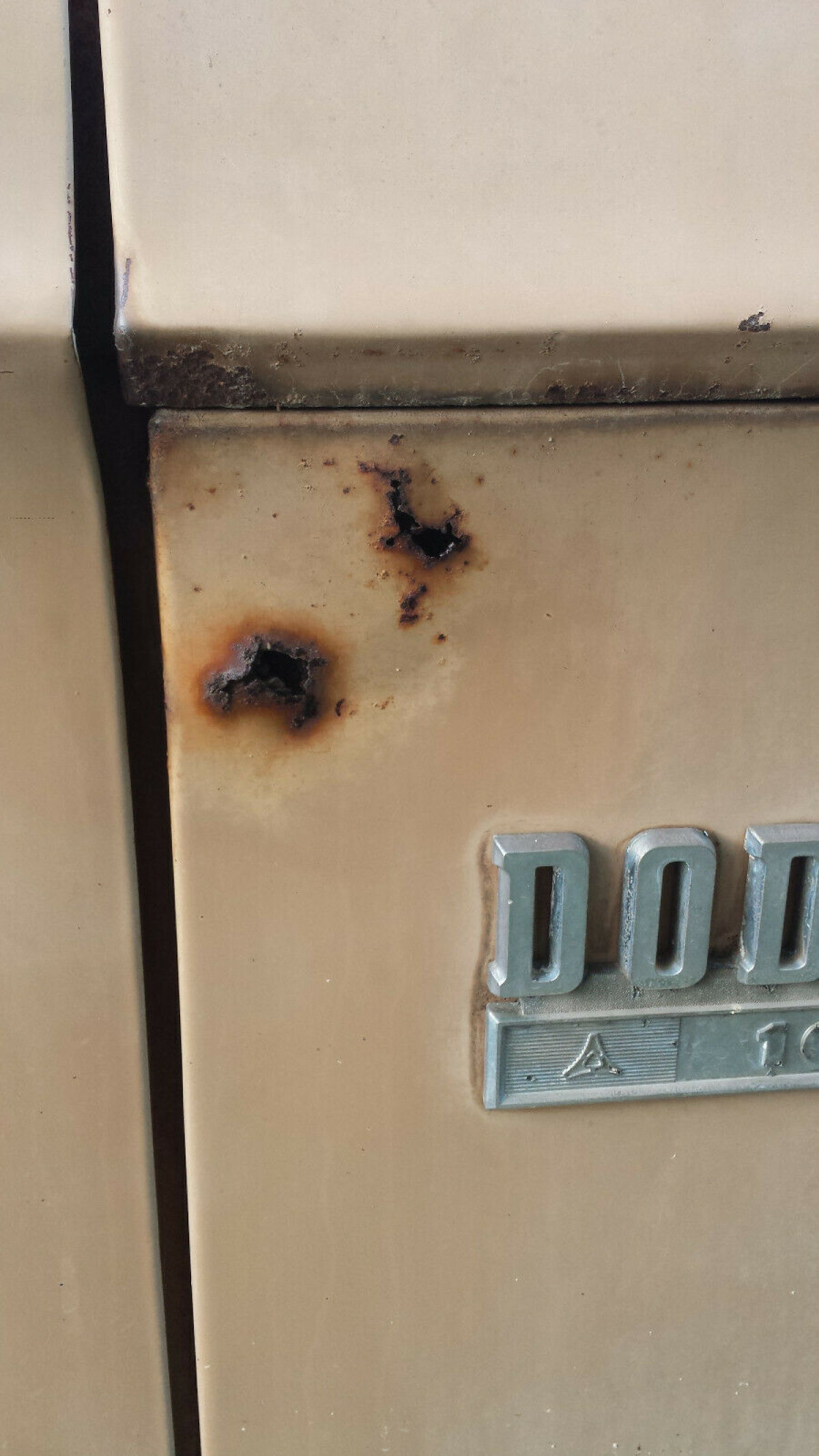 1969 Dodge Other Pickups - photo 11