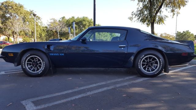 1974 Pontiac Trans Am - photo 8