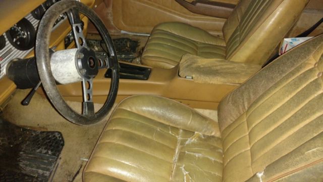 1978 Pontiac Trans Am - photo 6