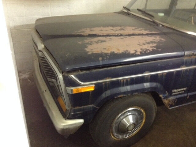 1981 Jeep Wagoneer - photo 3
