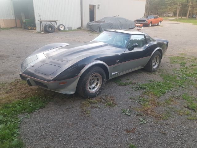 1978 Chevrolet Corvette Pace Car - photo 3