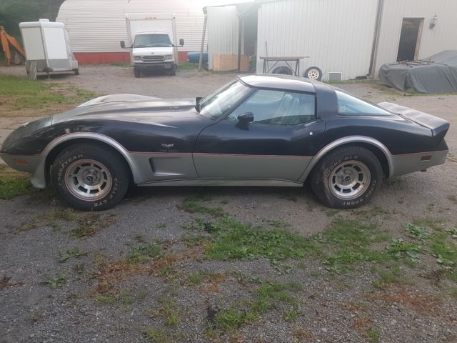 1978 Chevrolet Corvette Pace Car - photo 4