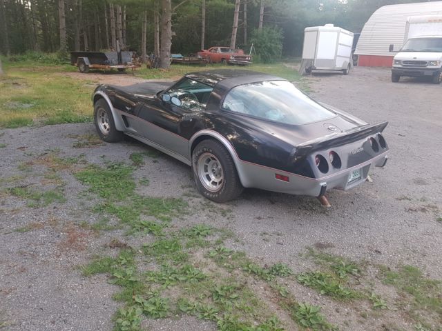 1978 Chevrolet Corvette Pace Car - photo 5