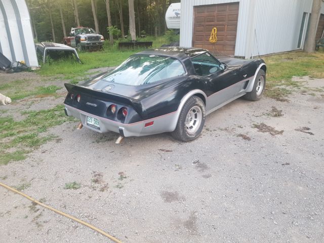 1978 Chevrolet Corvette Pace Car - photo 6