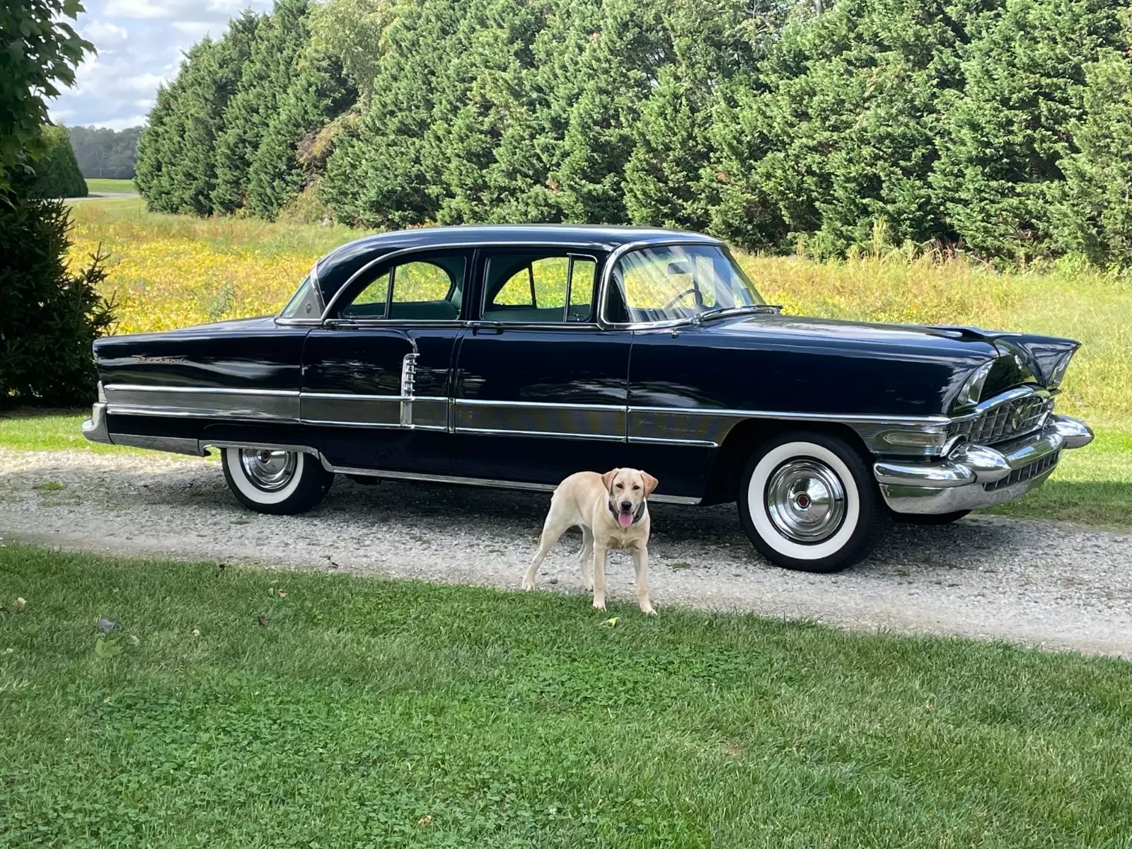 1956 Packard Patrician