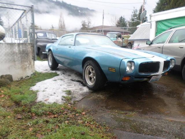 1980 Pontiac Firebird - photo 10