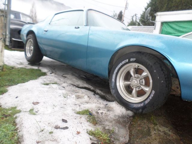 1980 Pontiac Firebird - photo 2