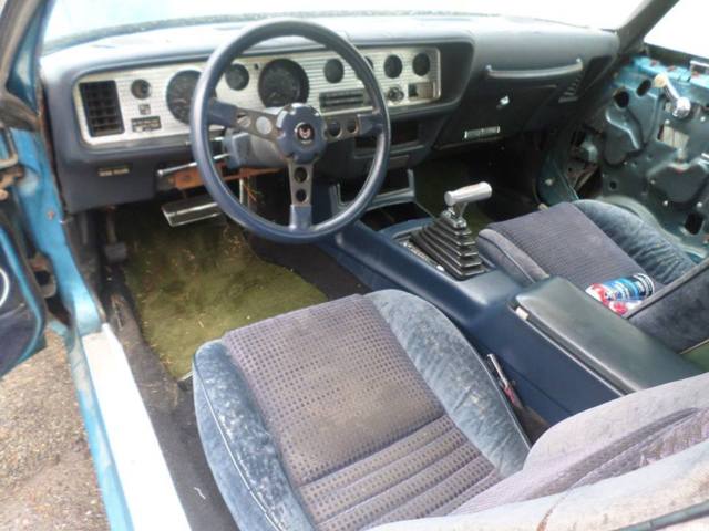 1980 Pontiac Firebird - photo 3