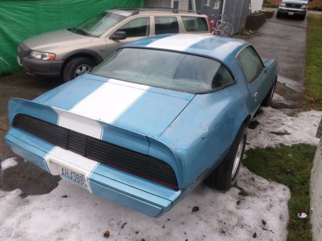 1980 Pontiac Firebird - photo 4