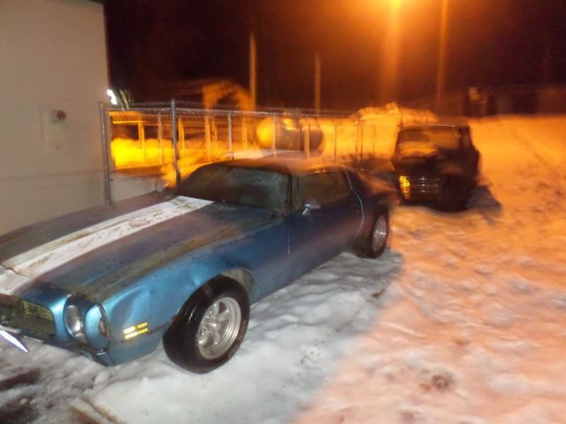 1980 Pontiac Firebird - photo 5