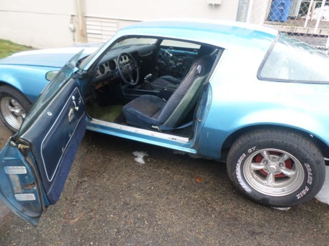 1980 Pontiac Firebird - photo 7
