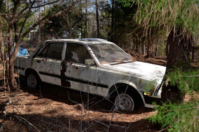 1981 Peugeot 505 Turbo Diesel - photo 2
