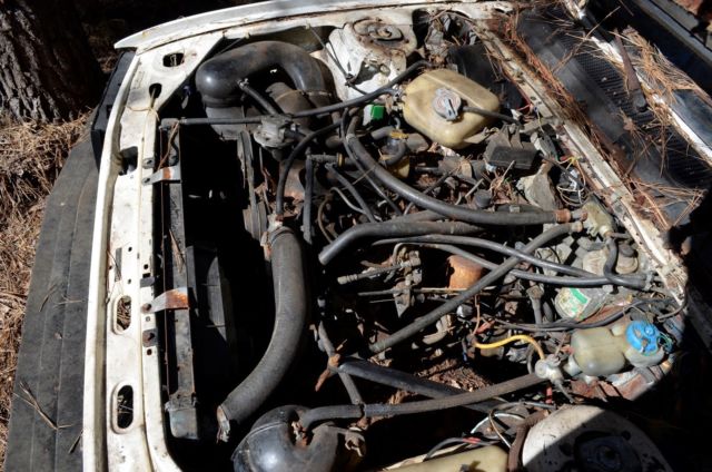 1981 Peugeot 505 Turbo Diesel - photo 6