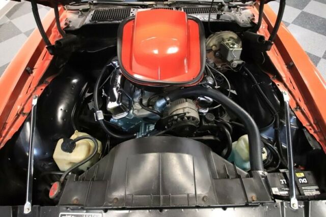 1978 Pontiac Firebird Trans Am WS6 - photo 4