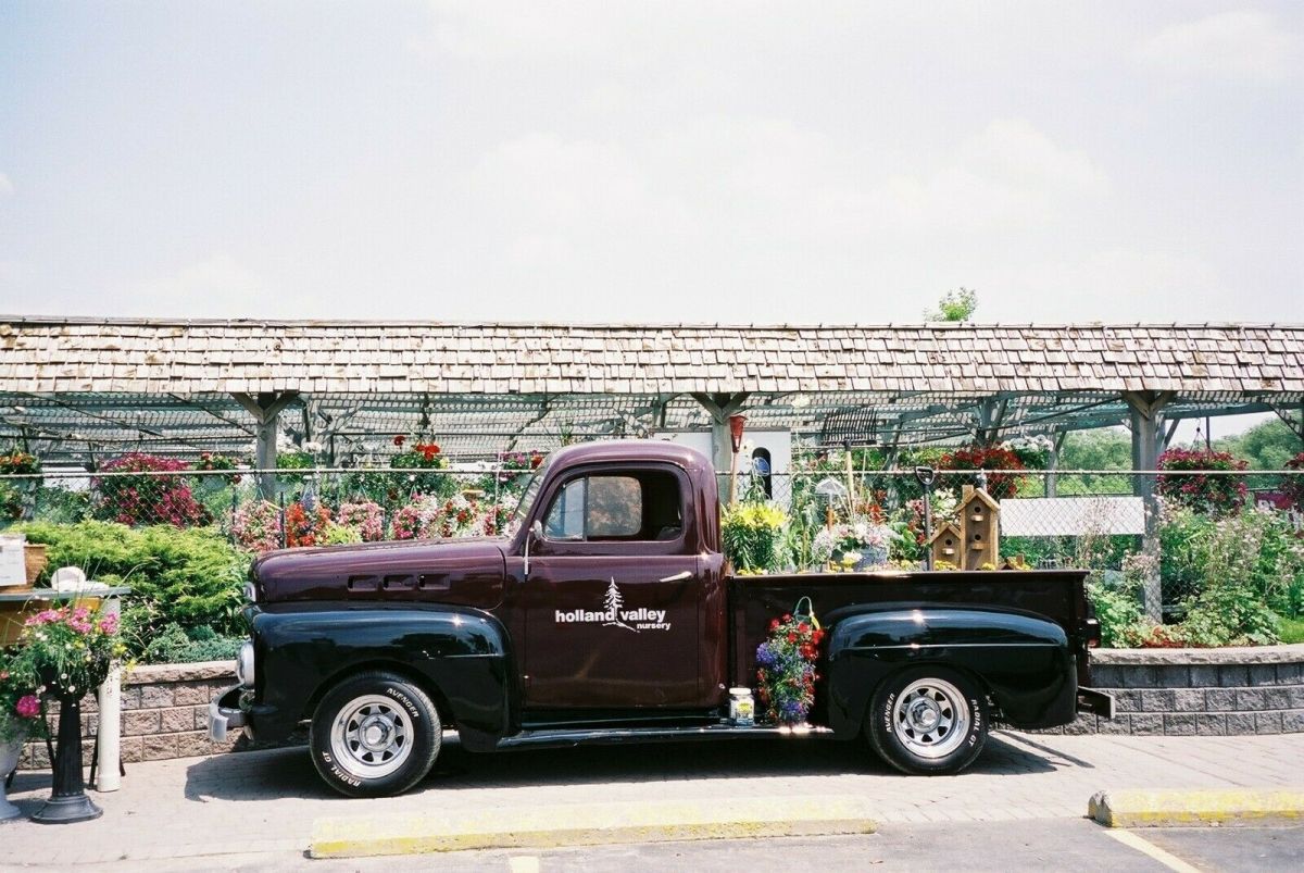 PLEASE DO NOT BID THIS ITEM IS NO LONGER AVAILIBLE 1952 Ford F-100 standard