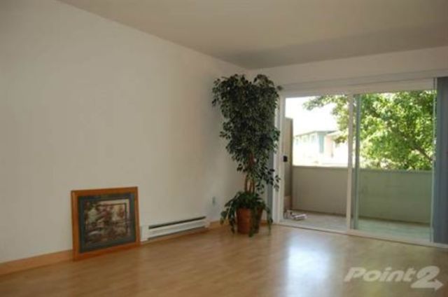 1980 Chevrolet Monte Carlo Test - photo 11