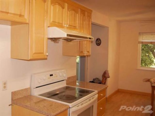 1980 Chevrolet Monte Carlo Test - photo 13