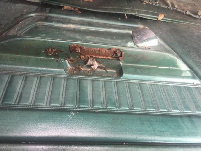 1976 Plymouth Other sport - photo 12