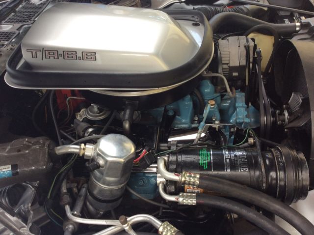 1980 Pontiac Firebird - photo 11