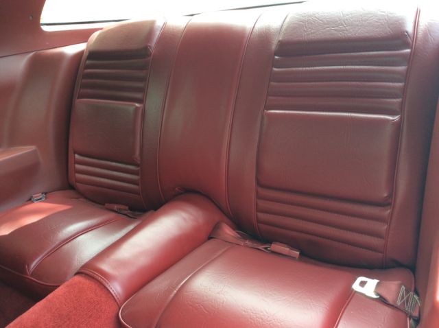 1980 Pontiac Firebird - photo 9