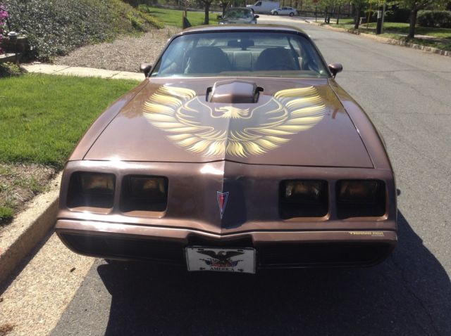 1979 Pontiac Trans Am WS6 - photo 2