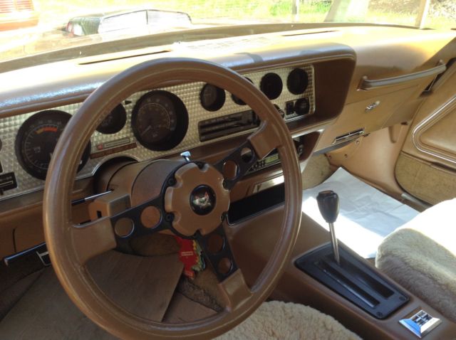 1979 Pontiac Trans Am WS6 - photo 3