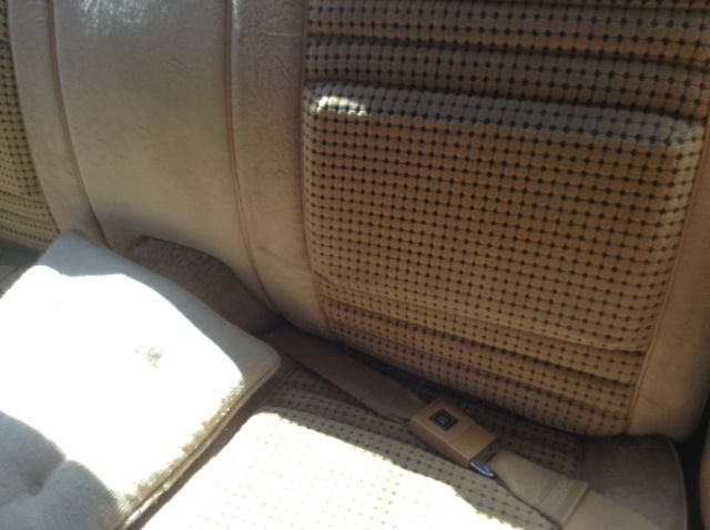 1979 Pontiac Trans Am WS6 - photo 5