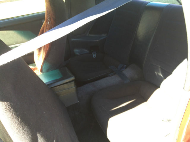 1982 Pontiac Trans Am - photo 10