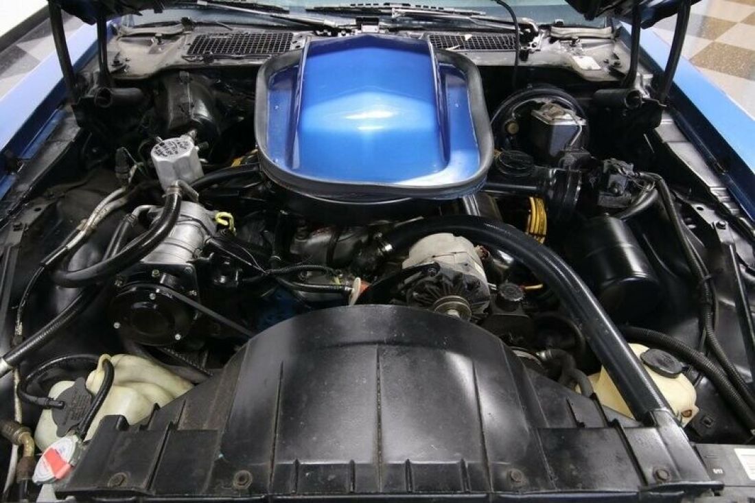 1978 Pontiac Firebird Trans Am - photo 4