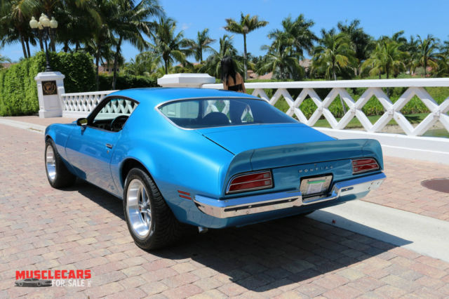1971 Pontiac Firebird Formula trimed - photo 10