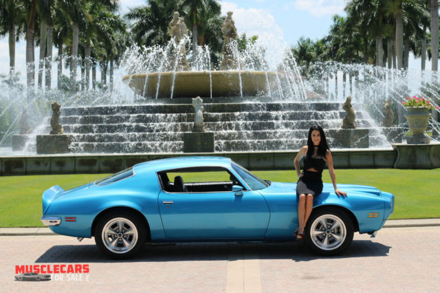 1971 Pontiac Firebird Formula trimed - photo 13