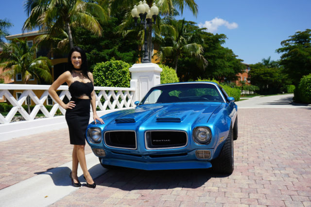 1971 Pontiac Firebird Formula trimed - photo 4
