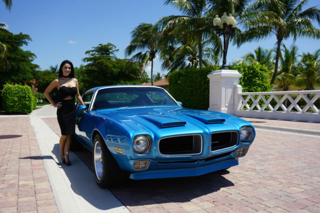 1971 Pontiac Firebird Formula trimed - photo 5