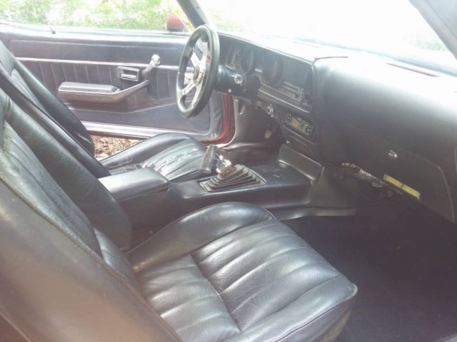1981 Pontiac Firebird - photo 9