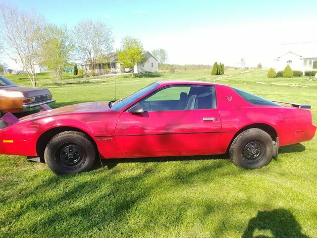 1984 Pontiac Firebird - photo 11