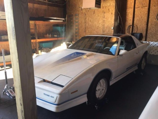 1984 Pontiac Firebird - photo 4