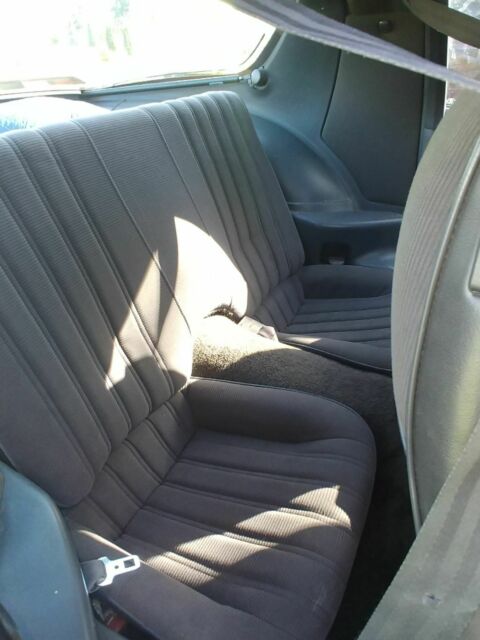 1984 Pontiac Firebird - photo 4