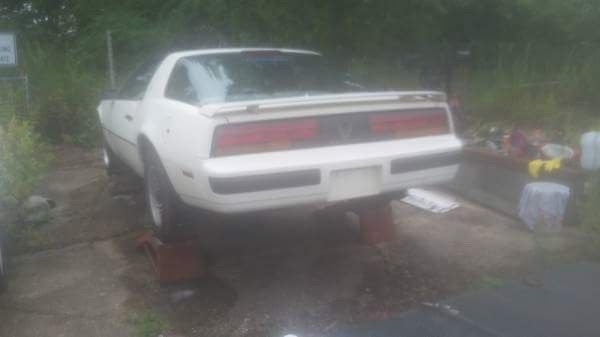 1986 Pontiac Firebird - photo 3