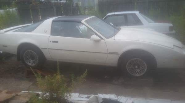 1986 Pontiac Firebird - photo 4