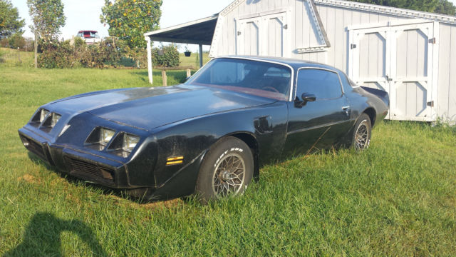 1980 Pontiac Firebird - photo 13