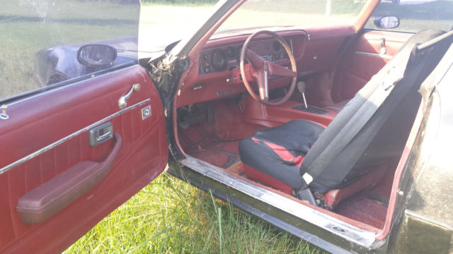1980 Pontiac Firebird - photo 5