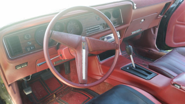 1980 Pontiac Firebird - photo 6